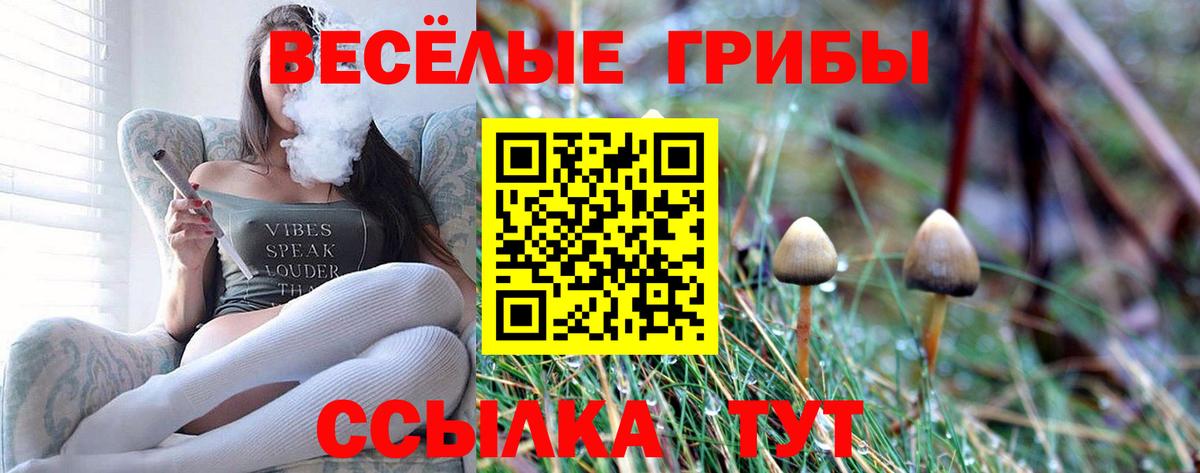 Нижний Новгород  Галлюциногенные грибы Psilocybe  Псилоцибиновые грибы GOLDEN TEACHER  Вход с VPN 
